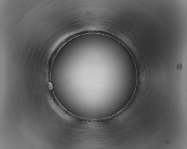 X0000112490934200908241322