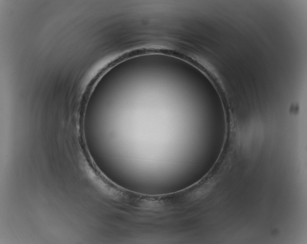 X0000112490935200908241322