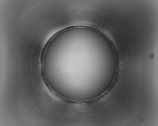 X0000112490936200908241322