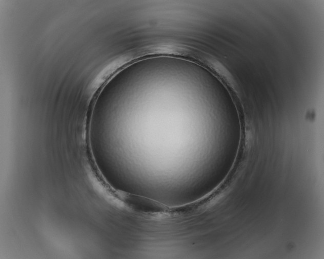 X0000112490938200908241322