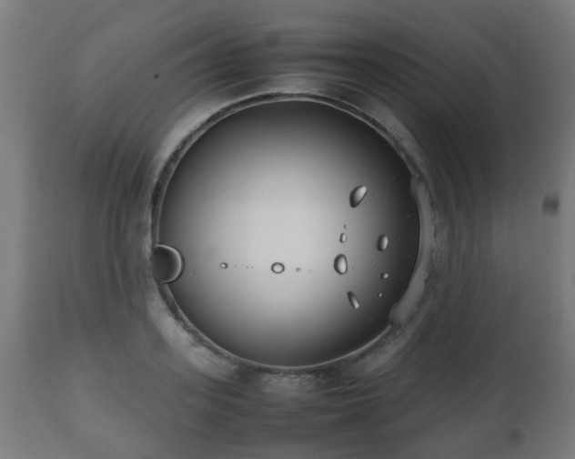 X0000112490939200908241322