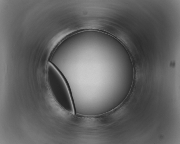 X0000112490940200908241322