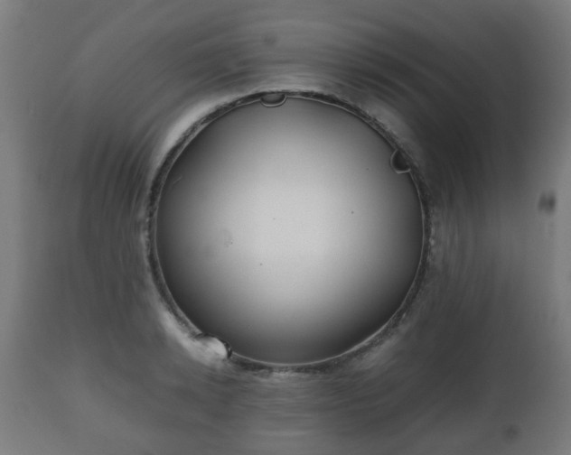 X0000112490942200908241322