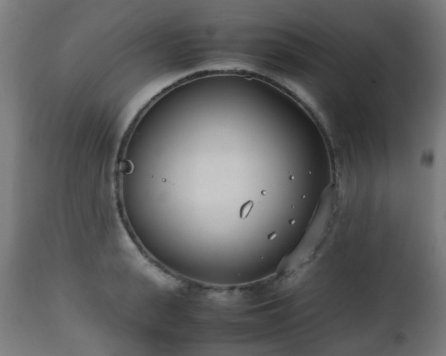 X0000112490943200908241322