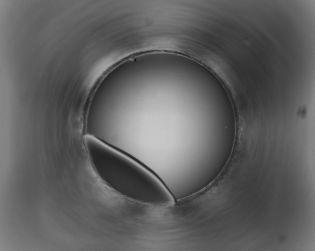 X0000112490944200908241322