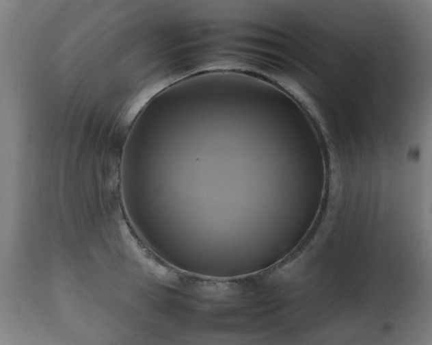 X0000112490945200908241322