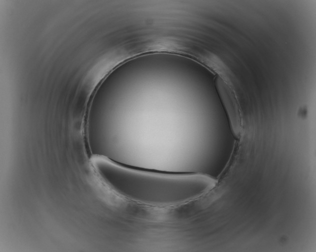 X0000112490946200908241322