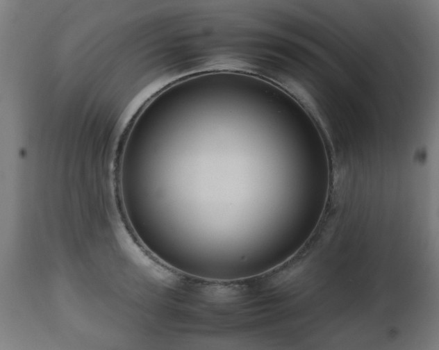 X0000112490947200908241322