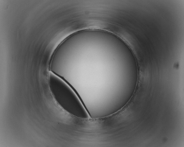 X0000112490948200908241322