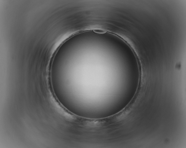 X0000112490949200908241322