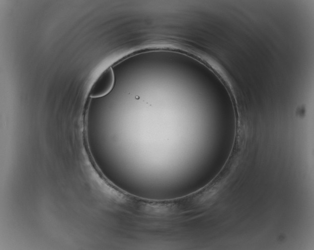 X0000112490951200908241322