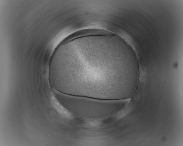 X0000112490952200908241322