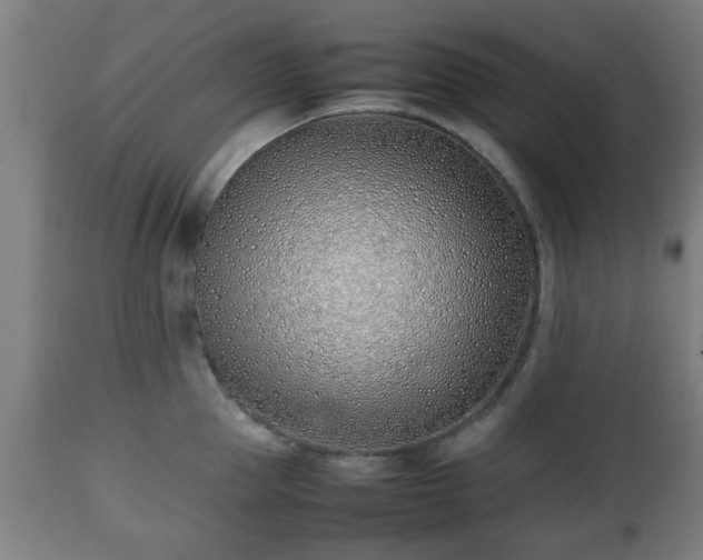 X0000112490953200908241322