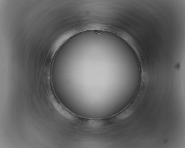 X0000112490954200908241322