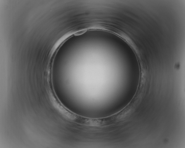 X0000112490955200908241322