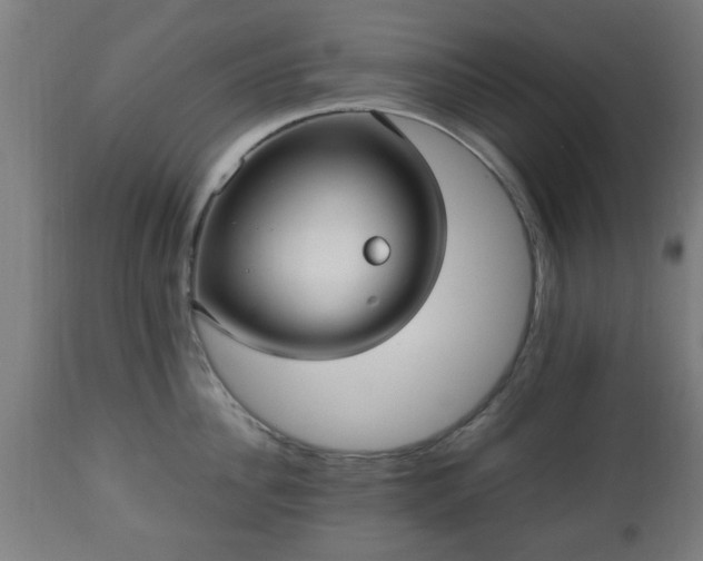 X0000112490956200908241322