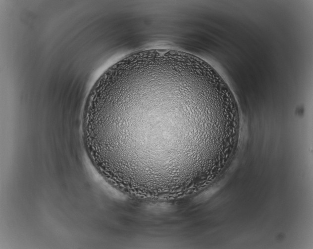 X0000112490957200908241322