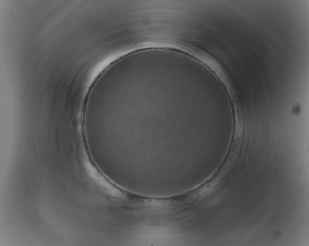 X0000112490958200908241322