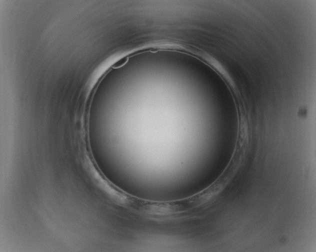 X0000112490959200908241322