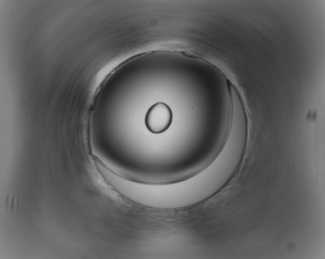 X0000112490960200908241322