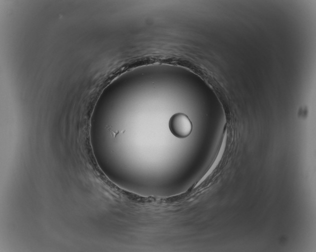 X0000112490961200908241322