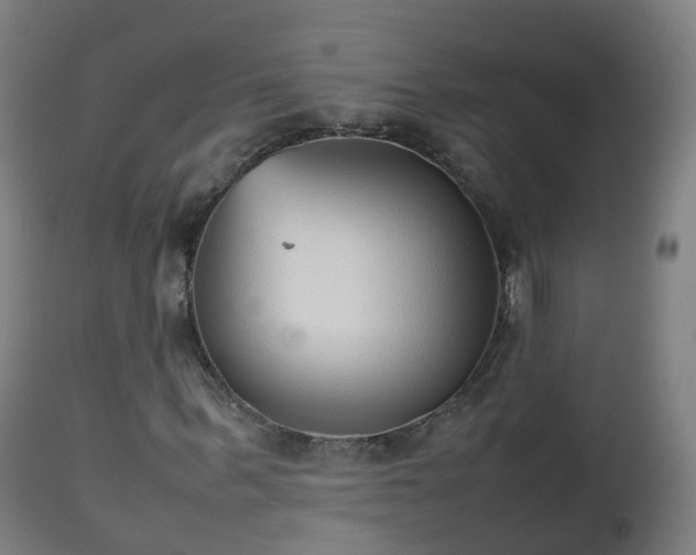 X0000112490963200908241322