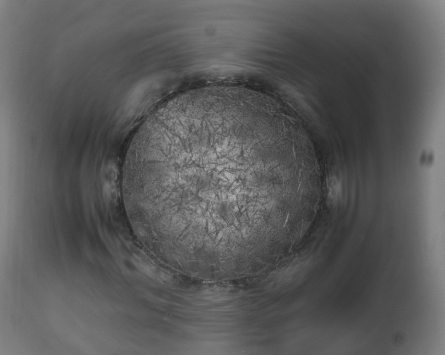 X0000112490964200908241322