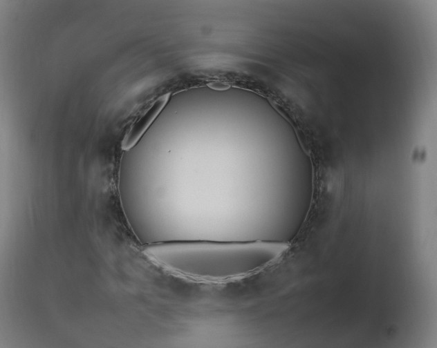 X0000112490965200908241322