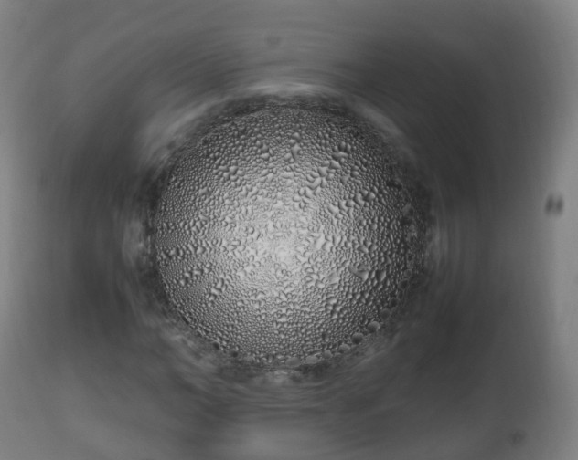 X0000112490966200908241322