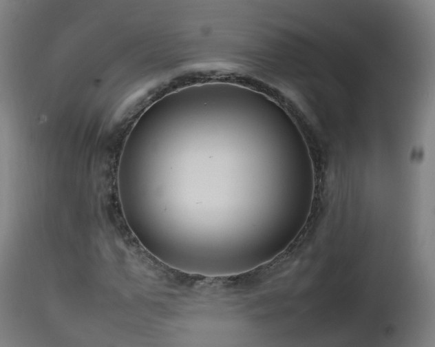 X0000112490967200908241322