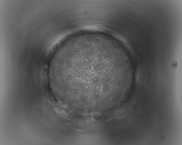 X0000112490968200908241322