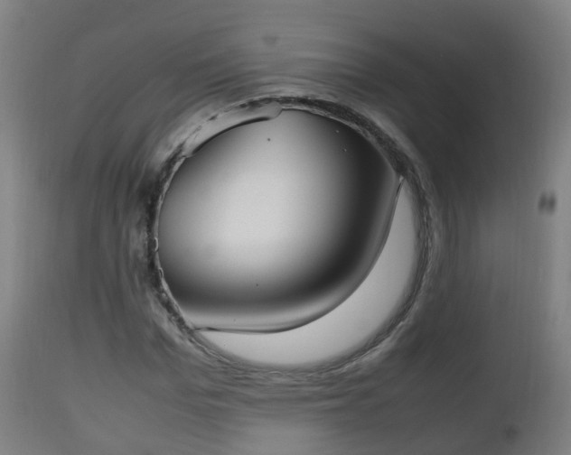 X0000112490969200908241322