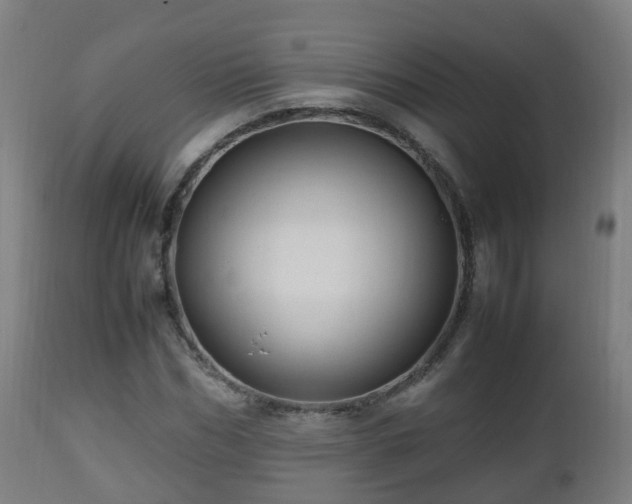 X0000112490970200908241322