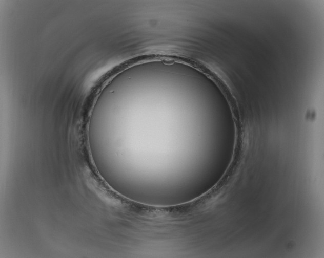 X0000112490971200908241322