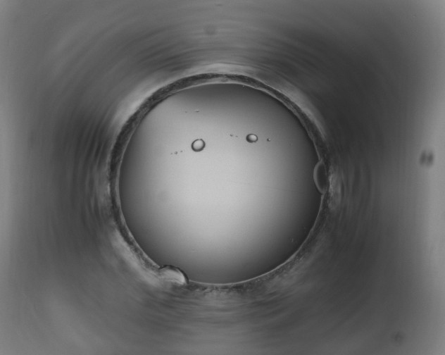 X0000112490972200908241321