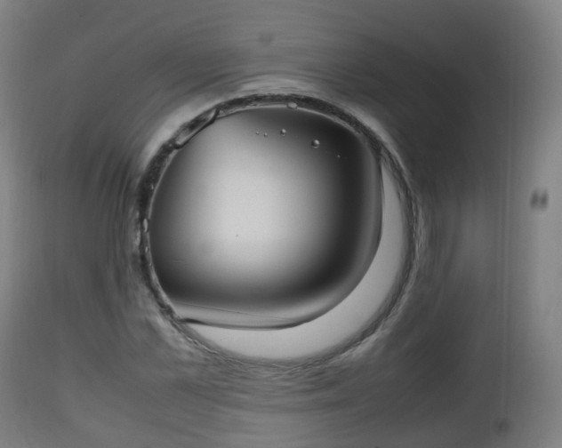 X0000112490973200908241321