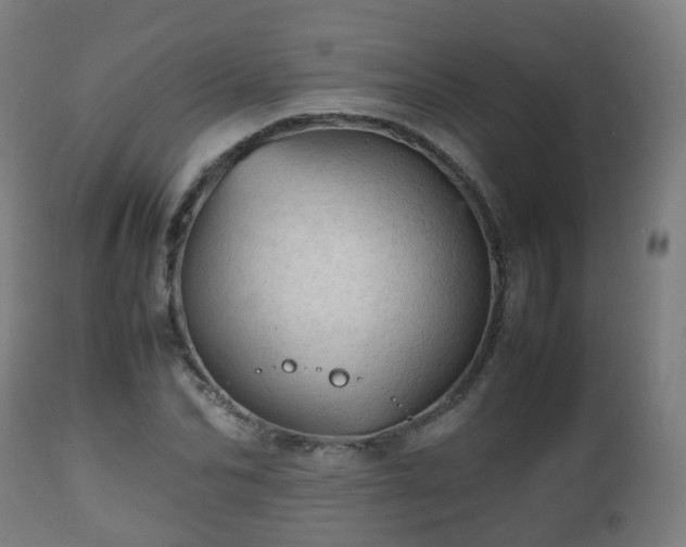 X0000112490974200908241321