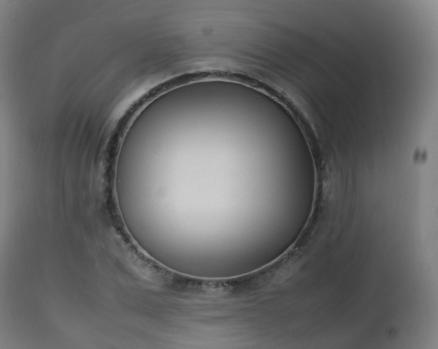 X0000112490975200908241321