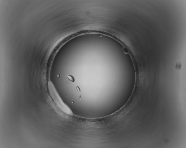 X0000112490976200908241321