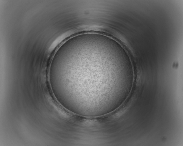 X0000112490978200908241321