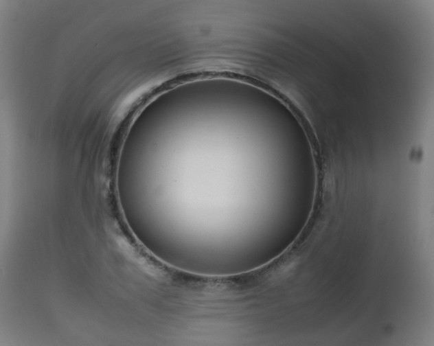 X0000112490979200908241321