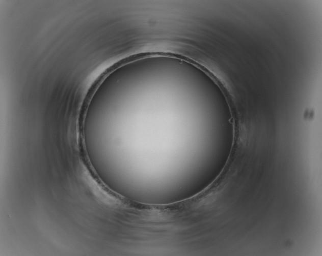 X0000112490980200908241321