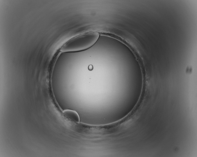 X0000112490981200908241321