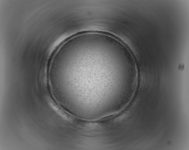 X0000112490982200908241321