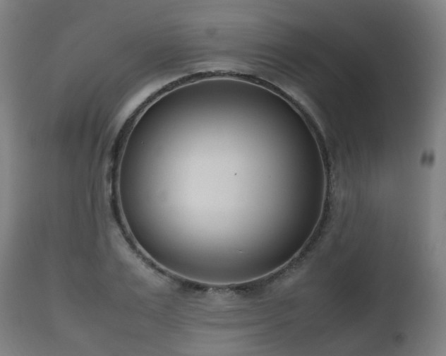 X0000112490983200908241321