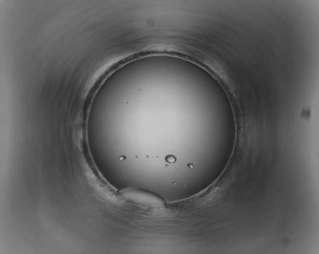 X0000112490984200908241321