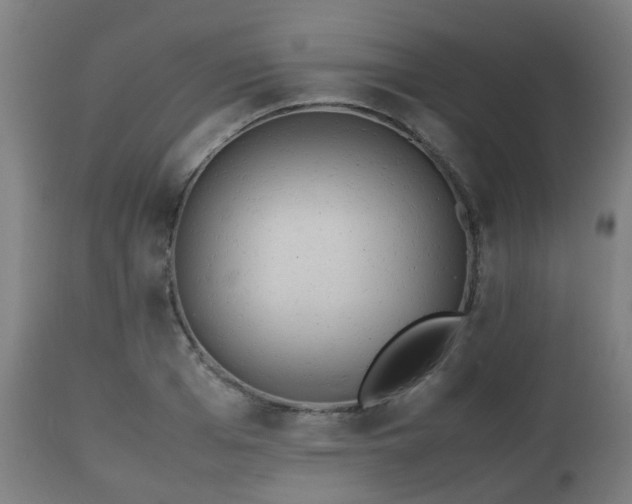 X0000112490985200908241321