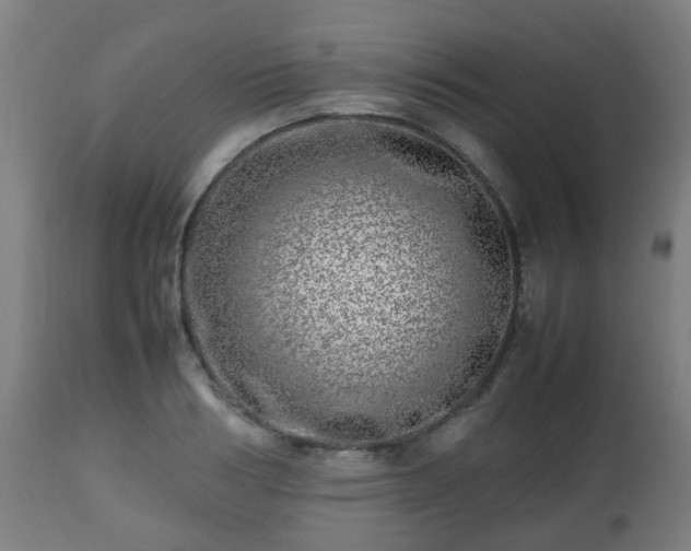 X0000112490986200908241321