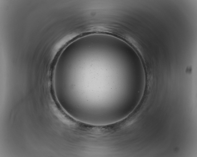 X0000112490987200908241321