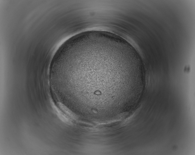 X0000112490988200908241321